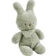 CUDDLY TIPIDOU GREEN-NEW!