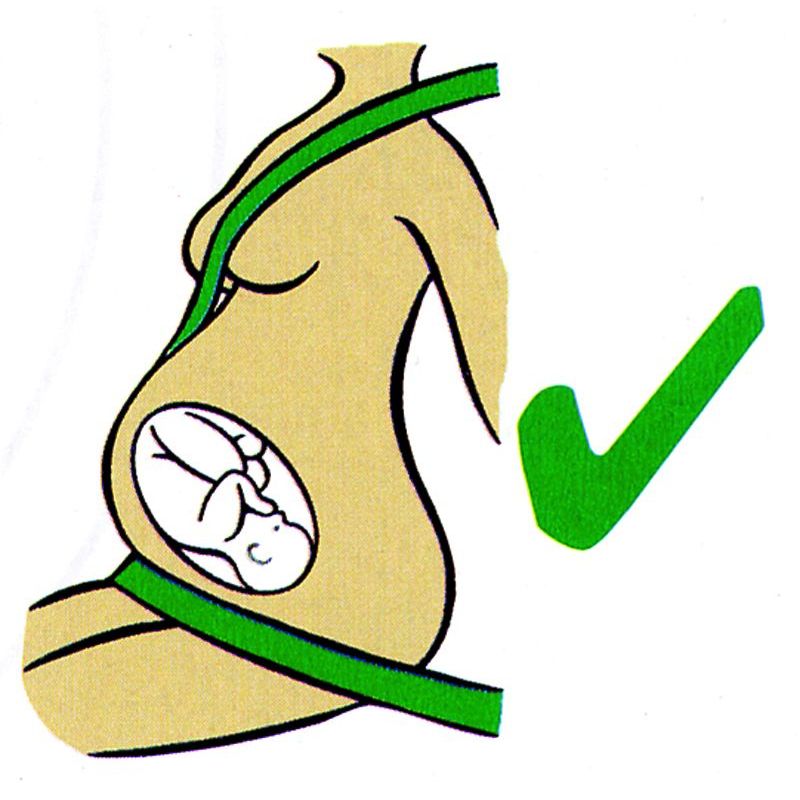 941 imágenes, fotos de stock, objetos en 3D y vectores sobre Mujer embarazada  cinturón seguridad
