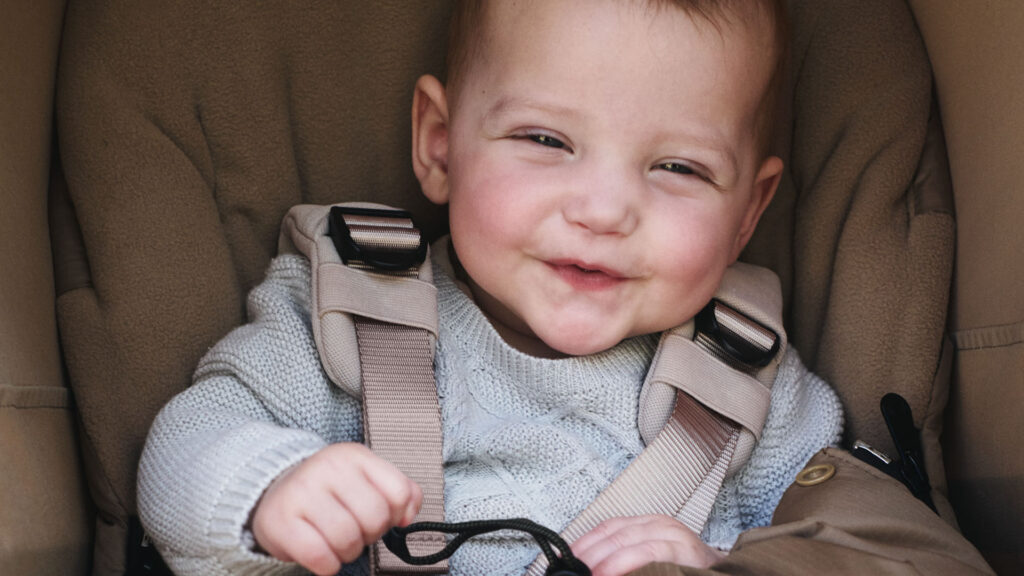 comodo harnés de butterfly 2