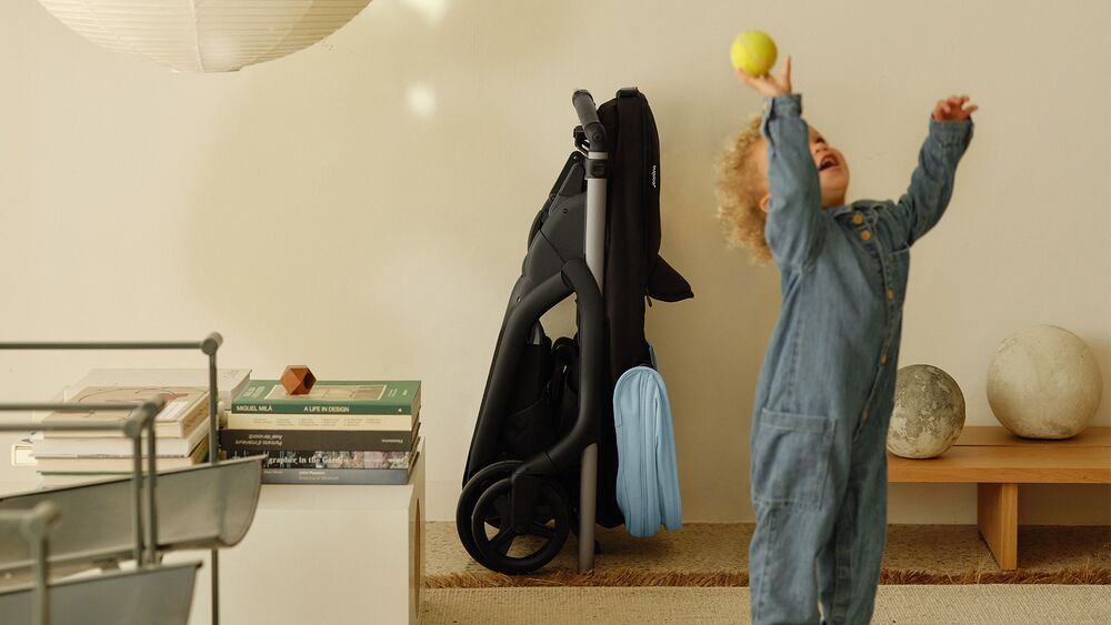 Dragonfly plegado de pie