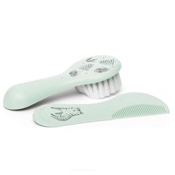 Set Pincel e Pincel Verde